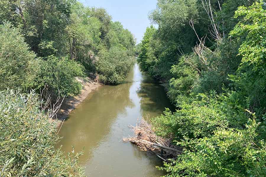 Breaking News: Investigation Launched After Body Found in Portneuf River!