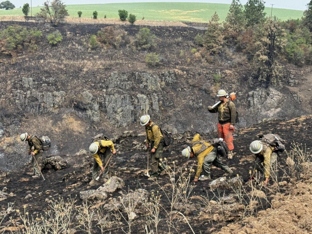Idaho Wildfires: Significant Progress Made in Containing Bench Lake and Texas Fires!