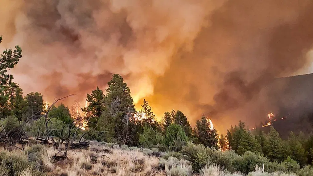 Oregon Fire is the largest in the US, with Thunderstorms and High Winds Making It Worse!