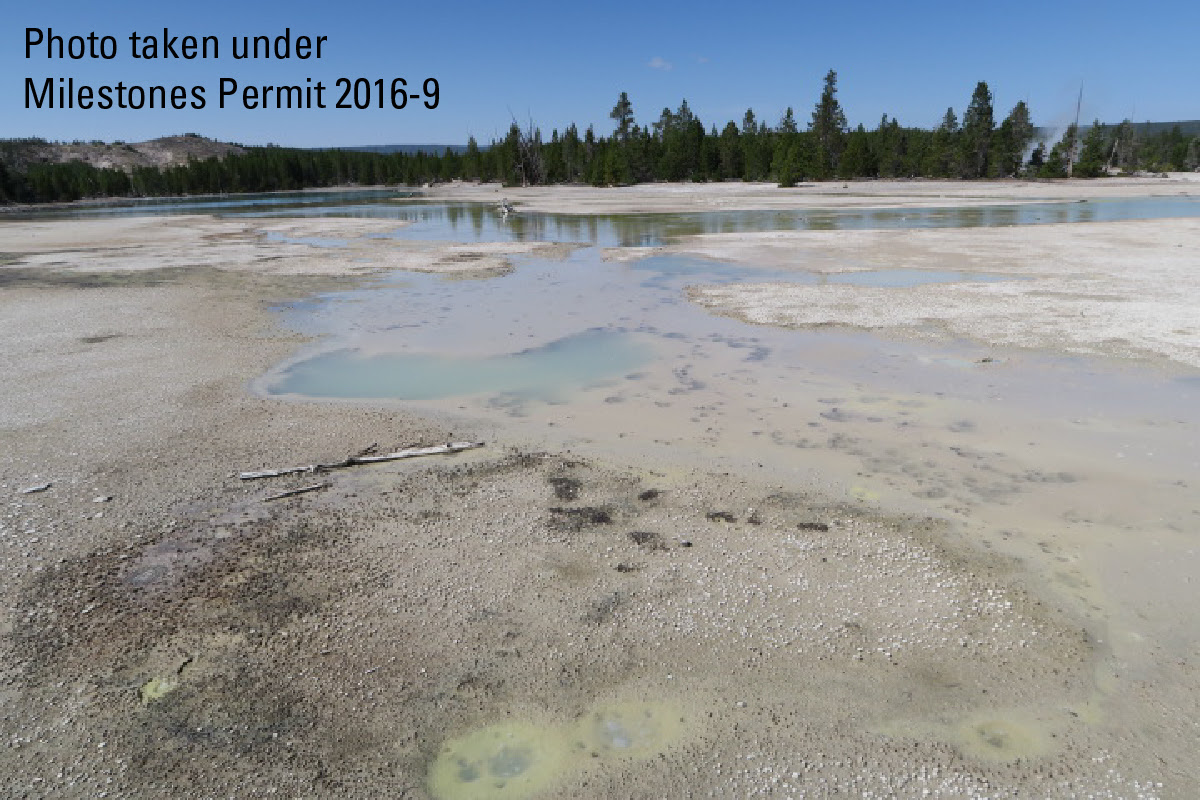 A tour of Norris Geyser Basin’s backcountry thermal areas in Yellowstone National Park